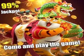 786q Slots, Live Tables, and Sportsbook at 786q Casino